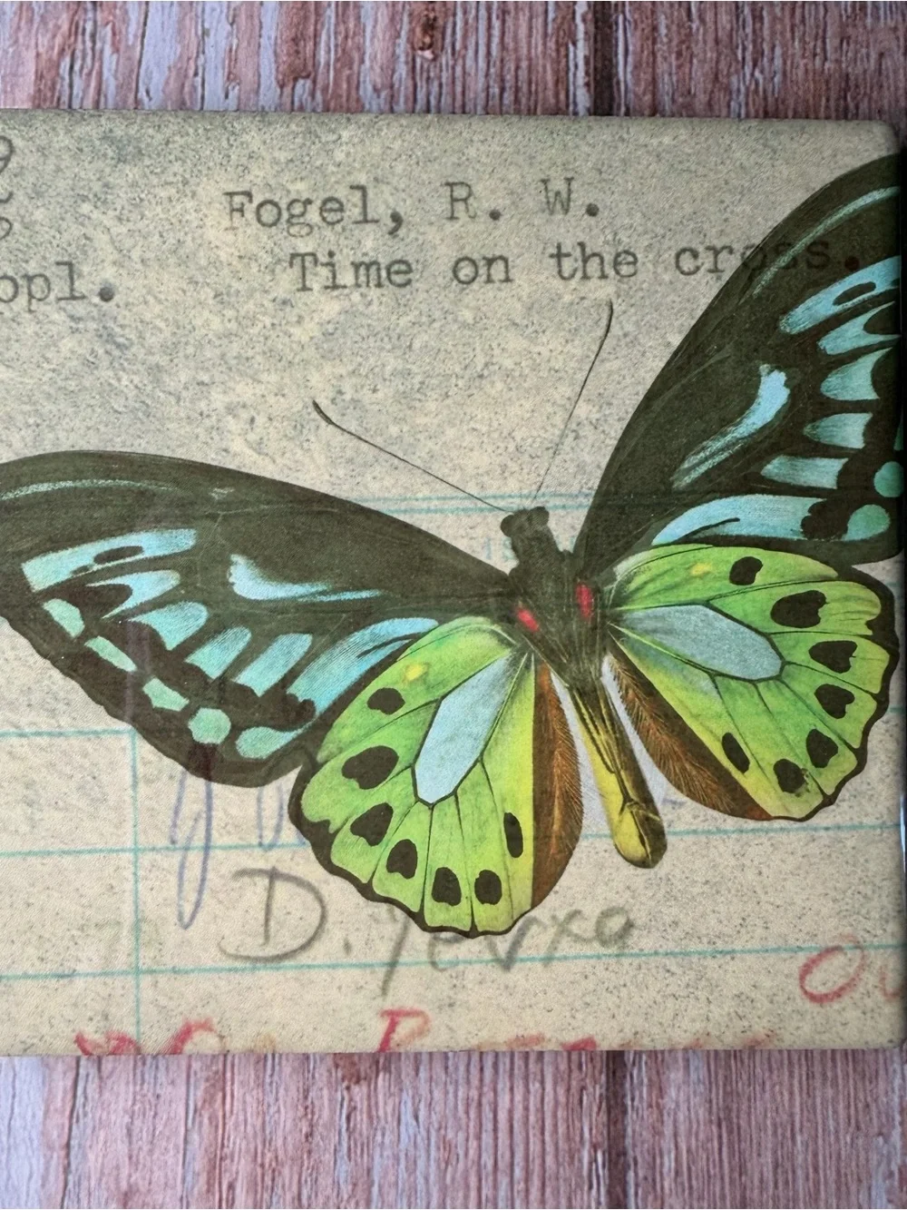 Bookish Ceramic Coaster for Book Lovers Butterfly Ephemera Library Card Set of 2